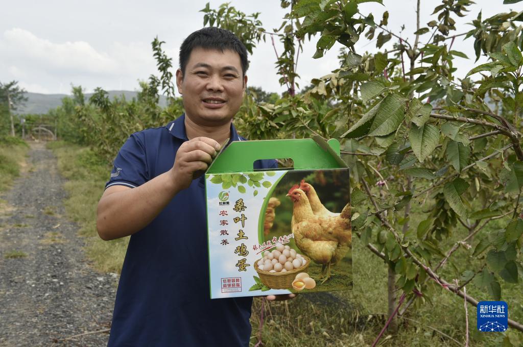 华人菠菜论坛
